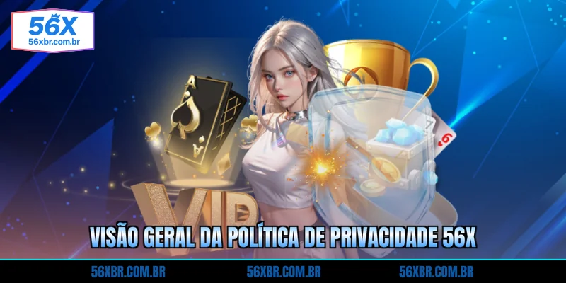 visao-geral-da-politica-de-privacidade-56x